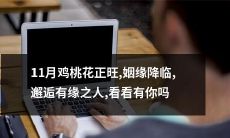 11月桃花鸡年热浪滚滚，宛如姻缘降临，与有缘之人相见恍若隔世，迫不及待地浏览，或能发现属于你的匹配之人！