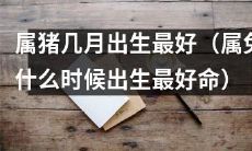 为什么属猪在哪个月出生最为吉利？同样地，属兔的出生时间对命运有怎样的影响？