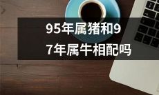95年出生的属猪人和97年出生的属牛人是否适合在一起?