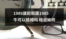 1989年出生的蛇和1985年出生的牛是否具备婚姻资格？如果他们结婚的话，双方的婚姻运势会是怎样的呢？
