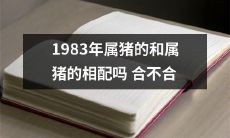 1983年出生的猪年生肖和同属猪年生肖之间是否匹配和谐呢？