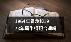 根据中国传统十二生肖配对理论，1964年出生的属龙人和1973年出生的属牛人是否有良好的婚姻匹配关系？