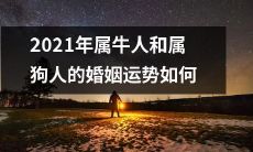 2021年属牛人与属狗人的婚姻命运预测:详细分析两个生肖的配对情况、星象影响与吉凶变化!