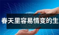 哪些生肖会在春天里容易经历情感波动和改变？