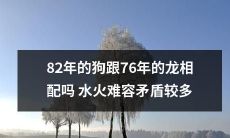 82年出生的狗和76年出生的龙是否搭配得当？由于水火不容和存在较多矛盾，值得探讨