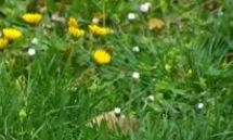 哪一年对属牛或属虎的人来说更加幸运：是2021年属牛命好，还是2022年属虎命好？