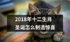 如何为2018年的十二生肖圣诞制造令人惊喜的体验？