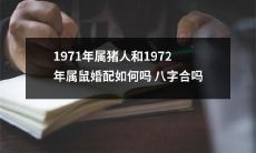 1971年出生的属猪人与1972年出生的属鼠人是否合适婚配?根据八字命理来分析这种组合的情况
