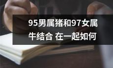 如何让95年出生的男属猪和97年出生的女属牛这两个星座相互结合，从而拥有幸福美满的长久关系？