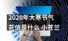 2020年大寒节气的花语是什么？了解一下小苍兰的含义吧！