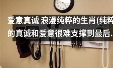 纯真爱意的生肖：坚持到最后的真诚与浪漫