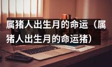 揭秘属猪人出生月的命运轨迹：探寻猪年不同月份出生者的前世今生与未来发展趋势