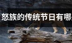 探究怒族传统文化：揭秘怒族传统节日习俗及庆祝方式
