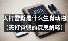 什么生肖动物被称为“天打雷劈”，而这一称谓代表着什么意义？