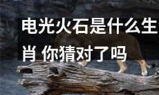 你猜对了吗？电光火石属于哪个生肖？