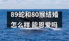 89头蛇和80只猴能否洒脱地走进婚姻殿堂的故事：他们的婚姻是否会像鱼和熊掌一样不可兼得？