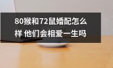 80只猴子和72只老鼠进行婚配，这样的组合真的能让它们相爱并度过余生吗？