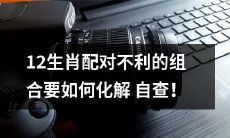 如何化解不利的12生肖配对组合，自我检查必不可少！