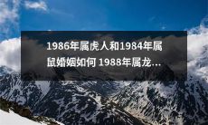 属虎人与属鼠婚姻在1986年的趋势如何，以及属龙女在1988年婚姻中的长久性评估？