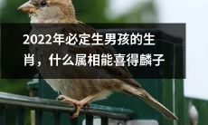 未来到来！2022年准生男生肖大揭秘，哪个属相将迎来隆重的喜事？