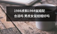 婚姻问题探讨：男虎女鼠结婚是否合适？以1986年的虎和1984年的鼠作为案例进行分析