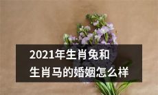 2021年生肖兔与生肖马的结合：探究恋爱、婚姻、合适性及相互影响等方面的综合分析