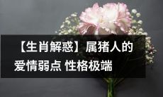 【深度解析】针对属猪人的爱情弱点和性格极端问题:你必须知道的生肖解惑