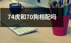 74只老虎和70只小狗适合搭配吗？