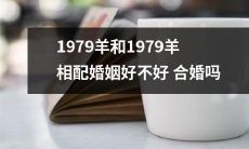 1979年生肖为羊的夫妇进行婚姻配对，是否适宜合婚？