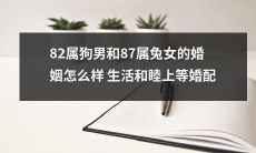 82年属狗男和87年属兔女的婚姻如何？生活和睦并达到最佳婚配状态的探讨