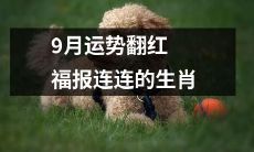 九月运势亮红灯，福报连连，这些生肖最受宠！