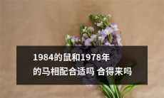 1984年的老鼠和1978年的马：是否具有良好的相容性和和谐性？