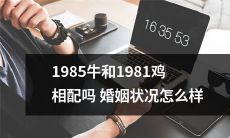 1985年生的牛和1981年生的鸡是否兼容？他们的婚姻关系如何？