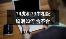 74只虎和73头牛能否实现婚姻匹配？这种相配是否合适？