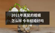2021年属鼠的婚姻状态如何？是否今年结婚是个好选择？