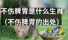 哪个生肖的饮食不会伤害人体的脾胃健康？（揭秘不伤脾胃生肖背后的原因）