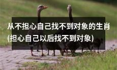 十二生肖中，哪个生肖不必过分担忧自己将来会找不到合适的对象？(Which Chinese Zodiac Sign Can Rest Assured That They Will Not Struggle To Find A Suitable Partner In The Future?)