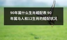 关于90年属马人和12生肖之间婚配情况的详细指南：哪些属相与90年属马者天作之合，哪些属相则应慎重考虑？