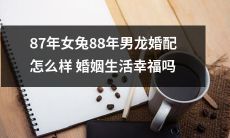 如何评价87年女兔与88年男龙的婚配，以及这对夫妇的婚姻生活是否幸福？