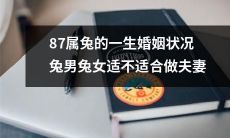从婚姻角度探讨：87年出生的兔子属相的男女是否适合成为夫妻？