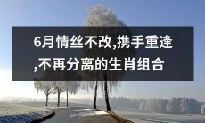 六月情丝永不减，携手重逢生肖组合，终结永别的离别之痛