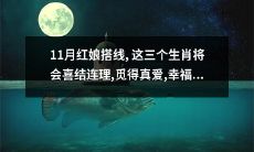 红娘搭线，引领11月真爱相遇：三生肖喜结连理，共同分享幸福甜蜜生活！