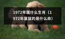 请问1972年所属的生肖是哪一个呢？（What Is the Chinese Zodiac for Those Born in 1972）