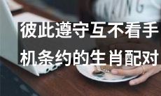生肖配对中彼此遵守互不看手机条款的合约约定，有助于增加通信和信任，促进伙伴关系的健康发展