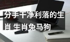 如何以一种干净利落的方式分手?探索生肖兔、生肖马和生肖狗的最佳策略