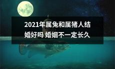 属兔和属猪人在2021年结婚，婚姻的长久性并不保证：探讨姻缘匹配度及婚姻稳定性