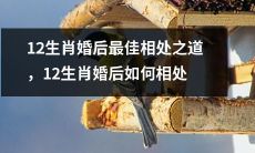 12生肖婚后相处技巧指南：如何实现最佳相处状况？