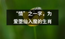 十二生肖中，深陷情爱中堕入仙魔之境的动物，是哪些？