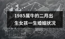 着眼1985年二月出生、属牛的女性，探究其一生婚姻状况的长篇标题：「透视牛年女性命运轨迹：1985年2月出生的女孩的婚姻经历分析」