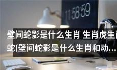 壁间蛇影：揭秘其代表的生肖以及与生肖虎、生肖蛇的关联性
